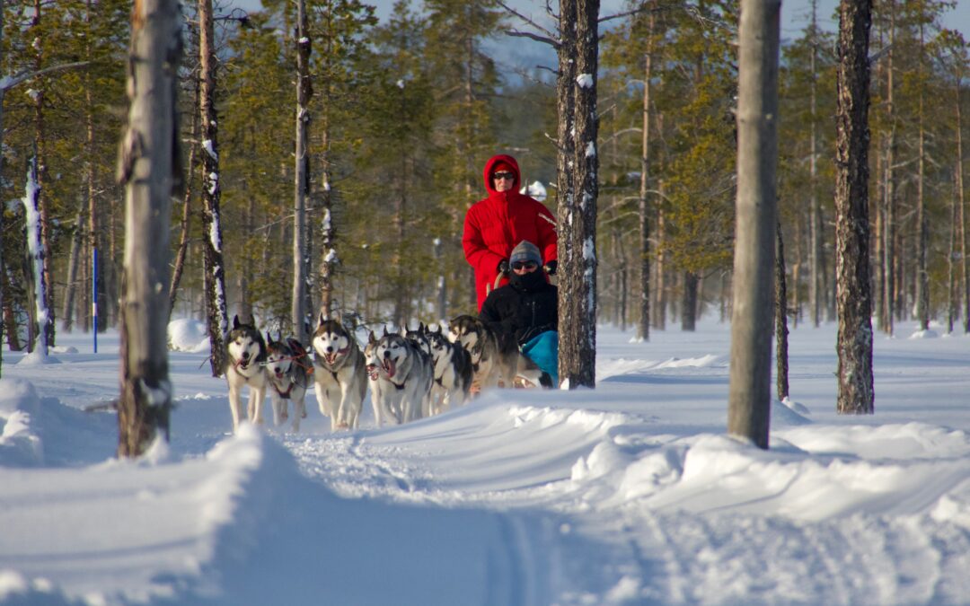 Hundspannstur in i Lappland