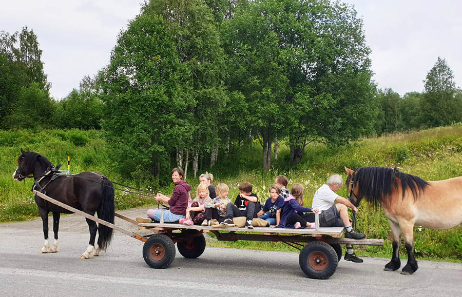 hartochvagn-w